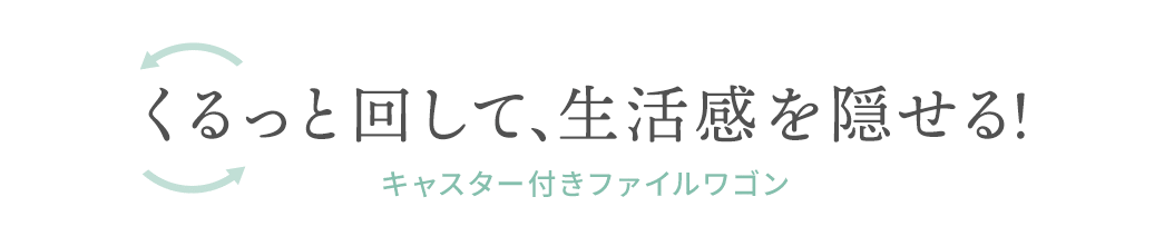 Ɖ񂵂āAXbLB LX^[tt@CS