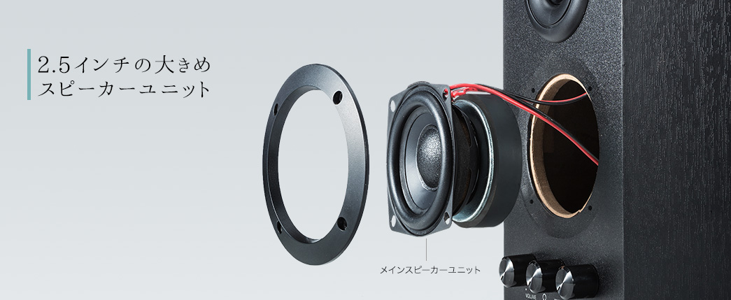 2.5C`̑傫߃Xs[J[jbg