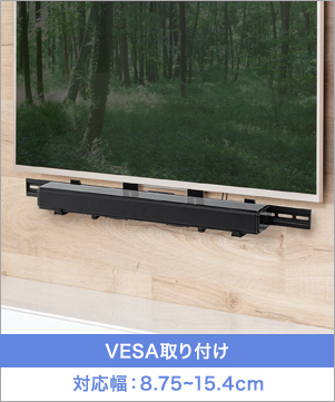 100-VESA001