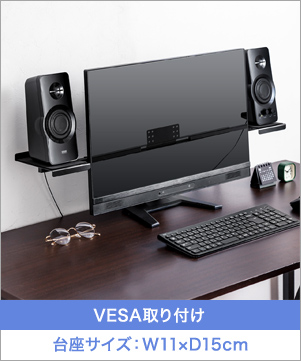 100-VESA008